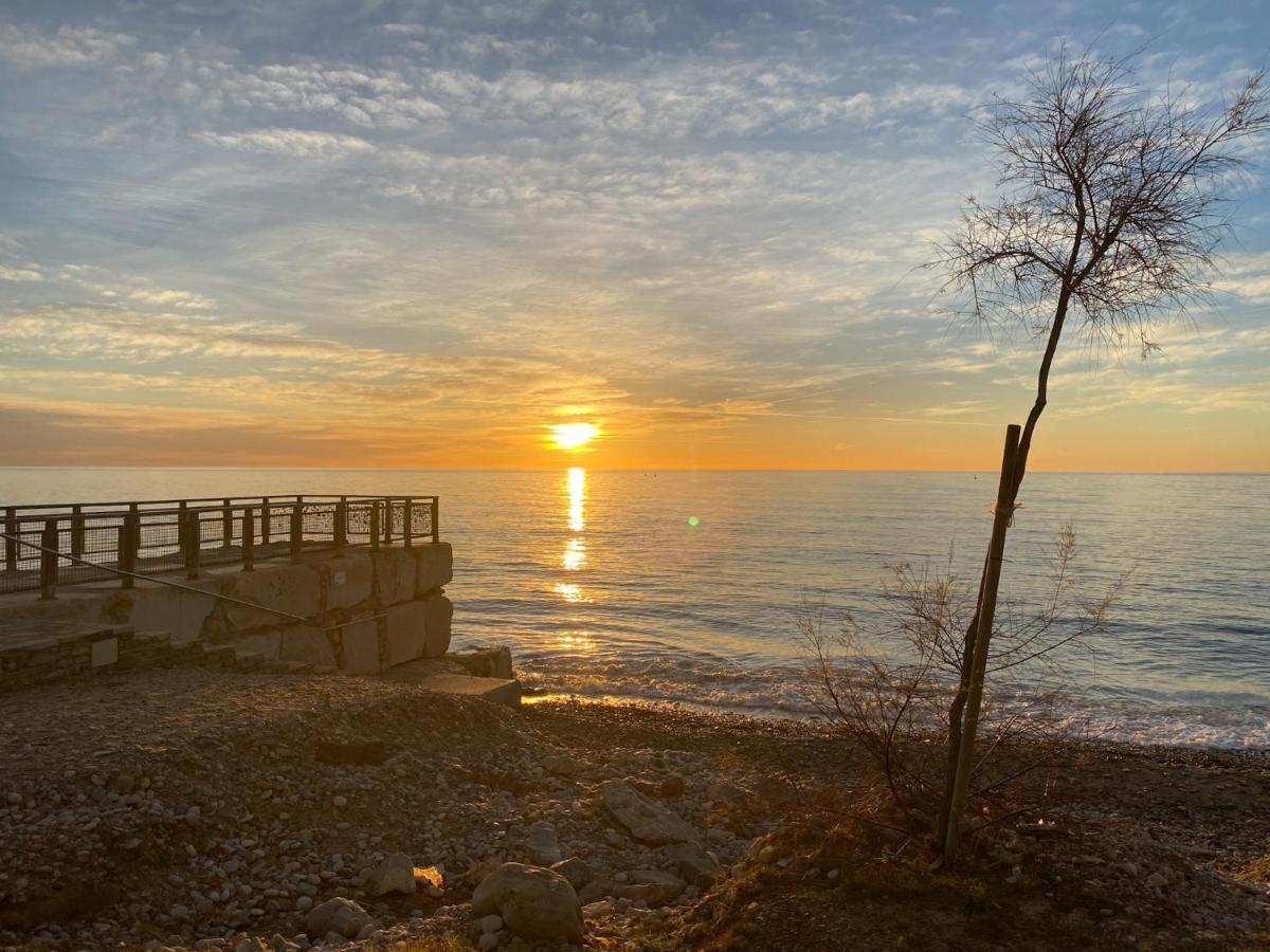 Mediterranean Dream Views أوروبيسا ذيل مار المظهر الخارجي الصورة